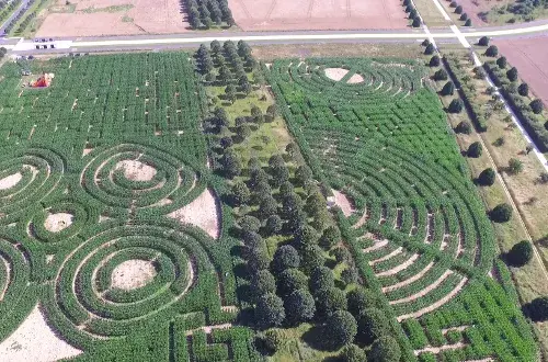 Labyrinthe de Sénart au Carré