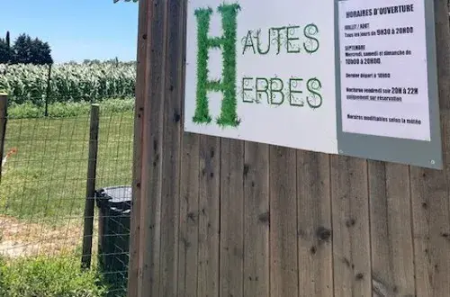 Labyrinthe Hautes Herbes