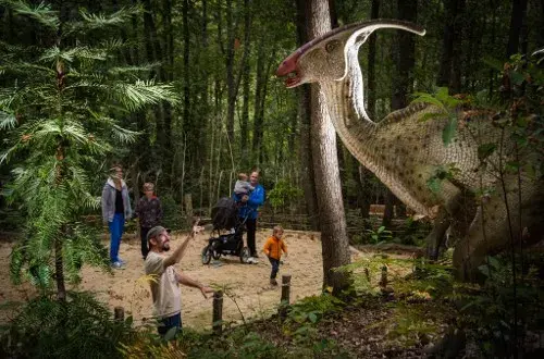 Xploria La forêt à explorer le temps