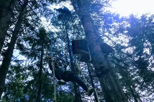 Au Fil des Arbres