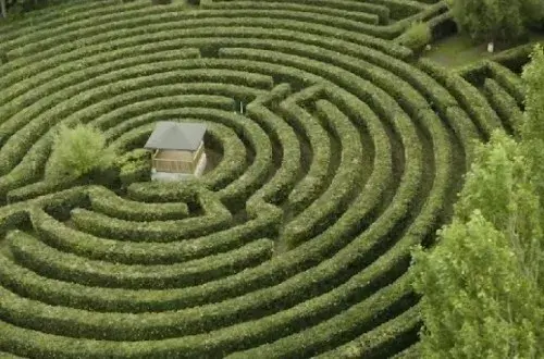 Labyrinthe Artmazia