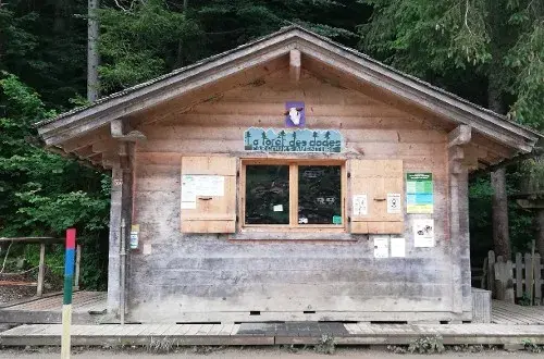 Parcours Aventure La forêt des dodes